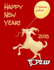 Новый год 2015 в Бресте